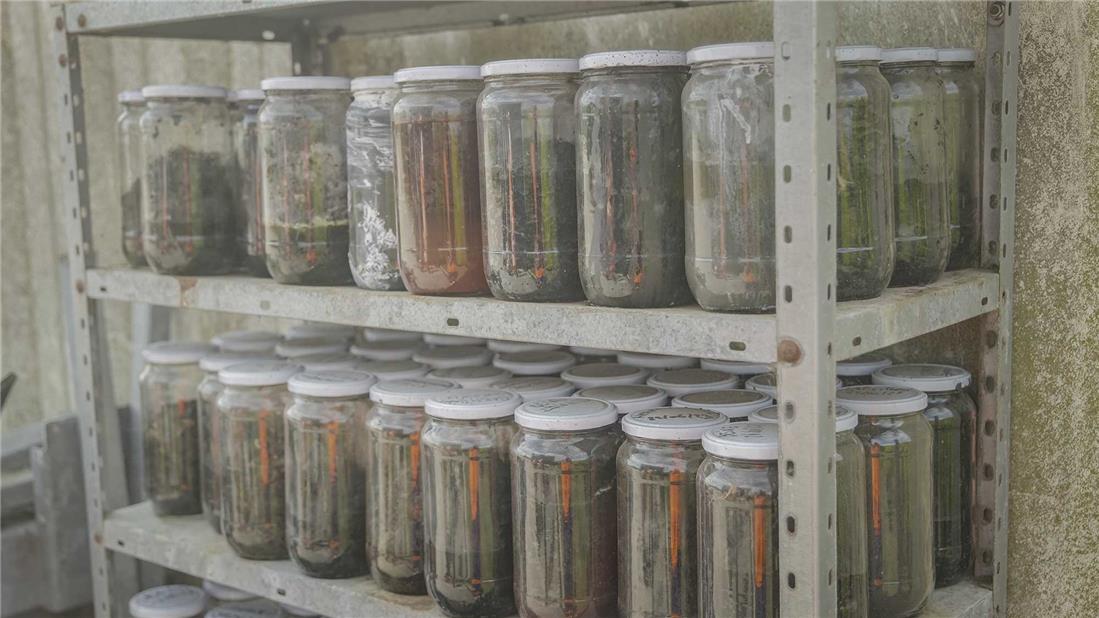 Analyse d’échantillon de matières organiques dans le site de compostage Warmériville, France