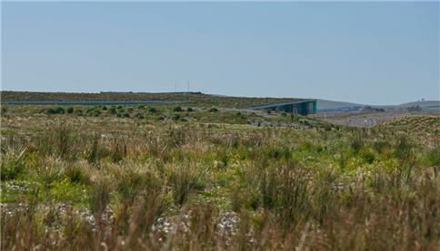 Image showing green roof and landscaping around desalination facility